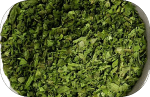 🌿 Coriander Leaves… Fresh Flavor and Natural Wellness with Falcon Herbs