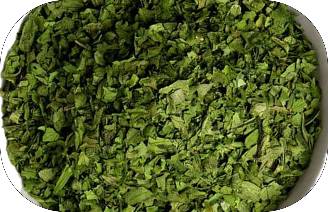 🌿 Coriander Leaves… Fresh Flavor and Natural Wellness with Falcon Herbs Coriander leaves