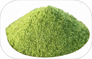 🌿 Moringa Leaves… Superfood of Nature with Falcon Herbs