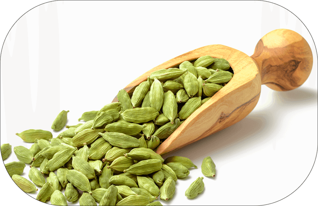 Cardamom