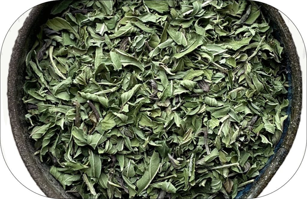 Peppermint