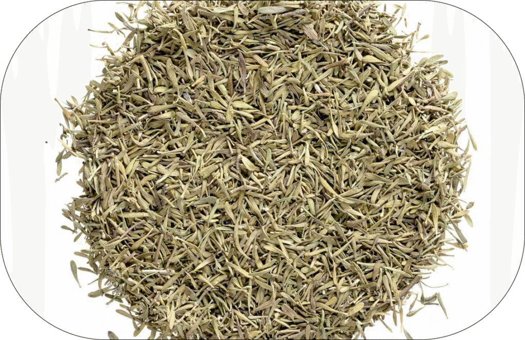 Thyme 