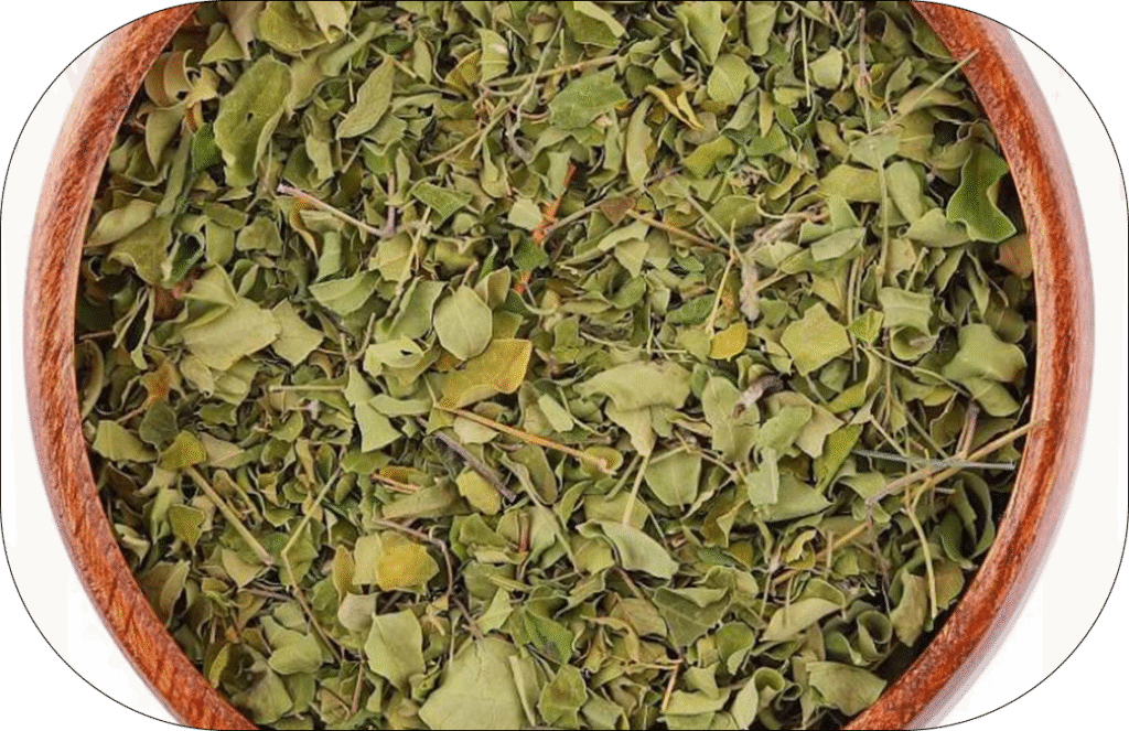 Moringa leaves