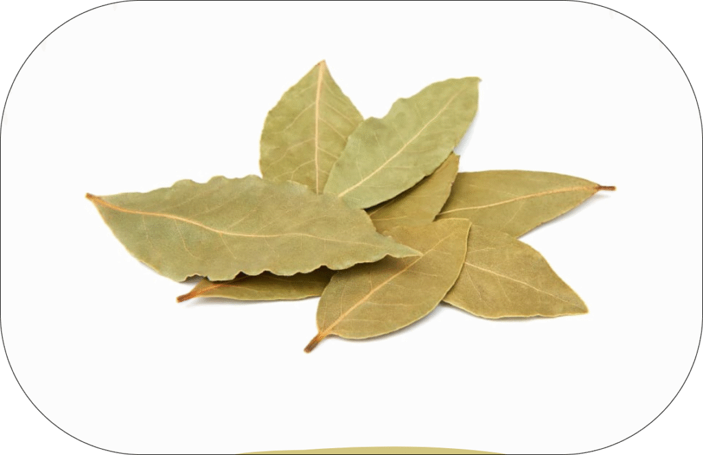 Laura (bay leaves)