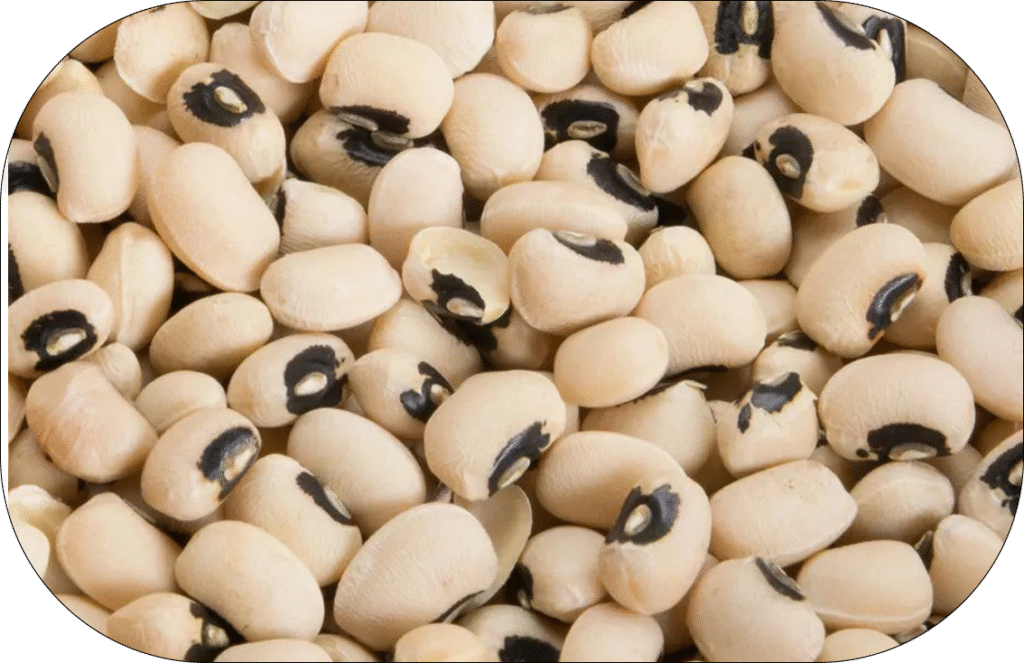 White beans (lubya)
