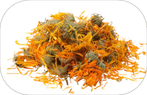 Calendula Export Profile – Falcon Herbs