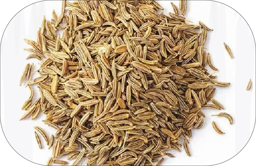 Caraway