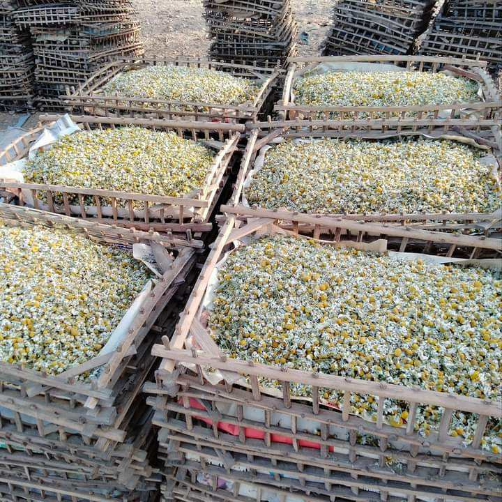 uda5213013ba44c2297c43197f57f94cdm