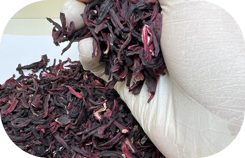 Hibiscus slices