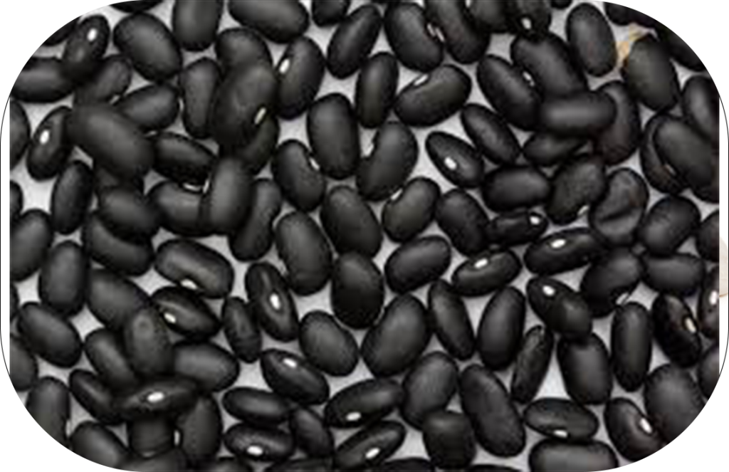 black kidney beans