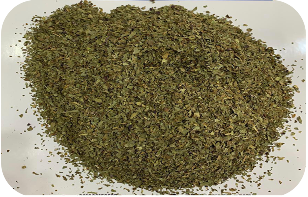 Marjoram leaves