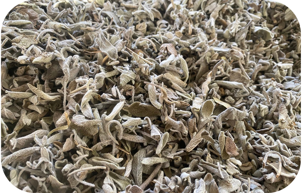 Sage Leaves specification sheet