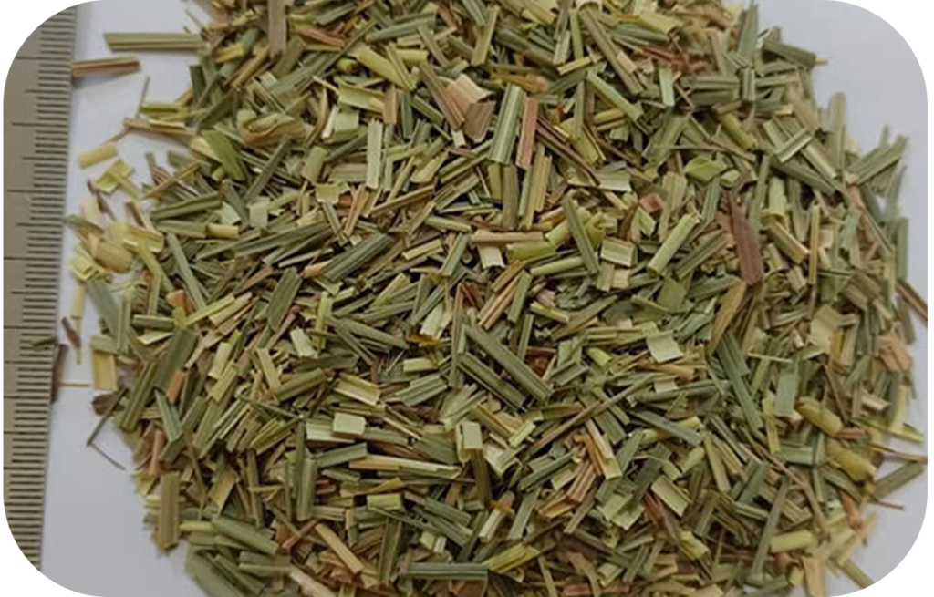 Lemongrass