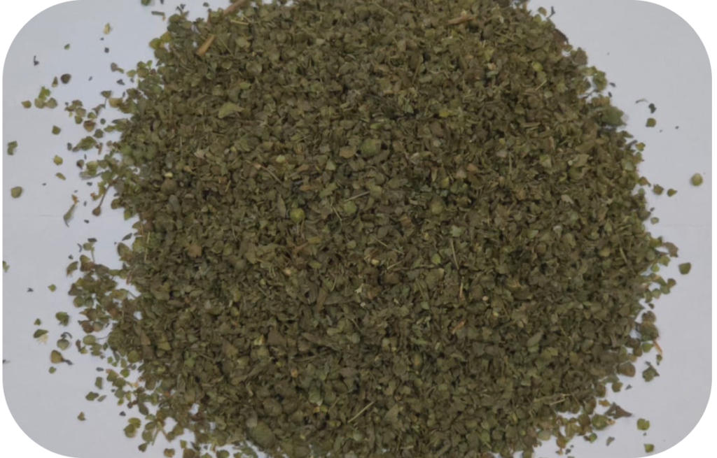 Oregano