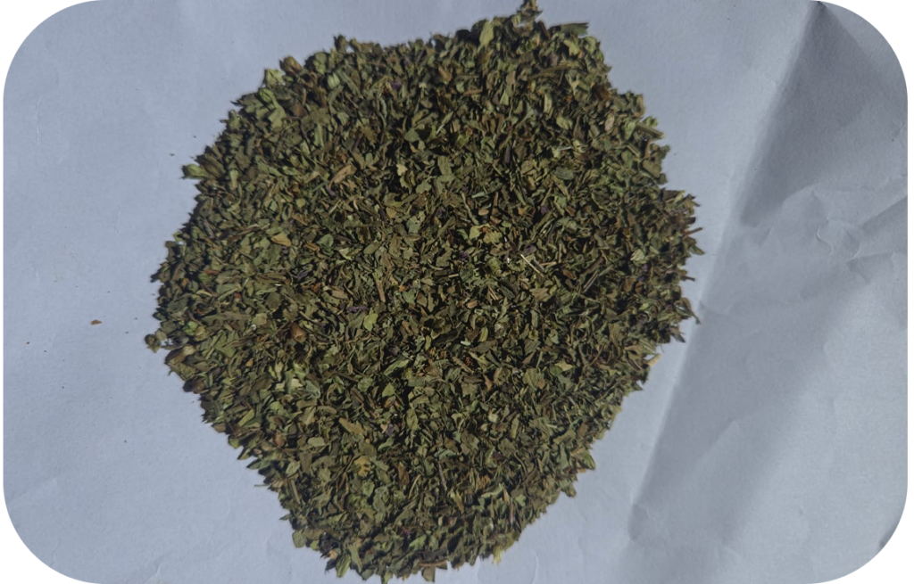 Basil