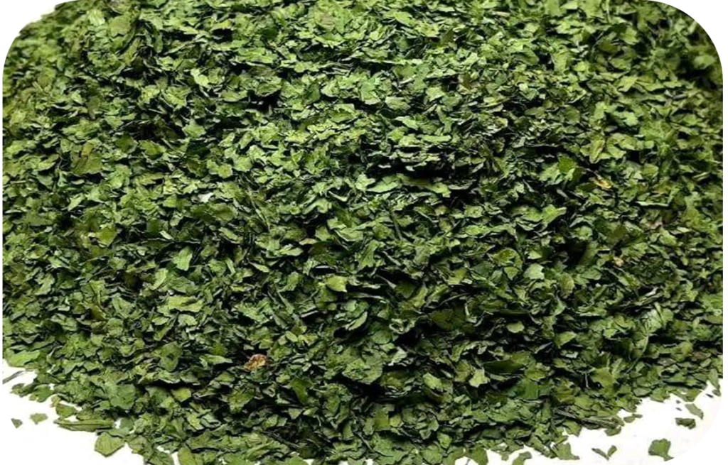 Coriander leaves