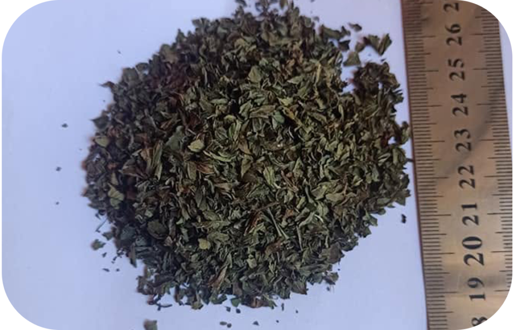 Peppermint Leaves