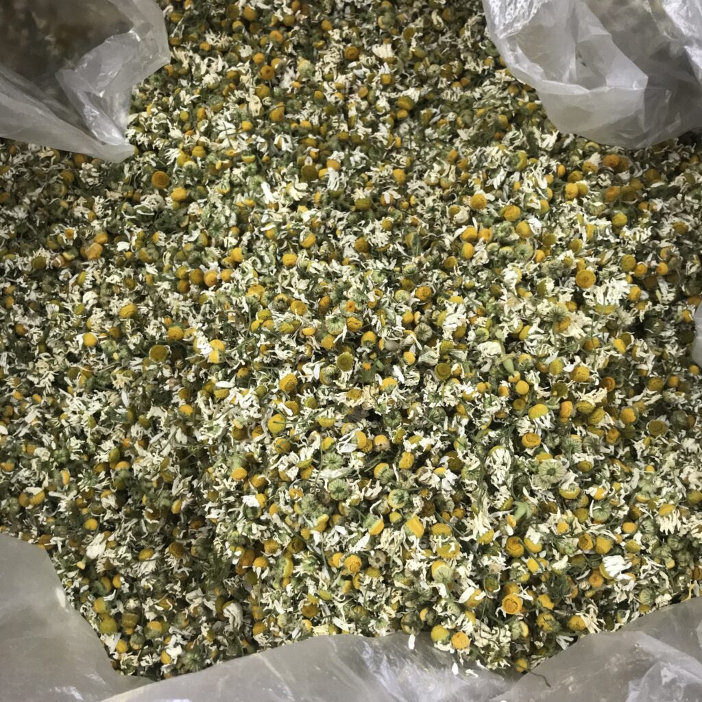 Chamomile specification sheet